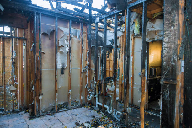 Professional Fire Damage Removal technician working in North River Shores, FL